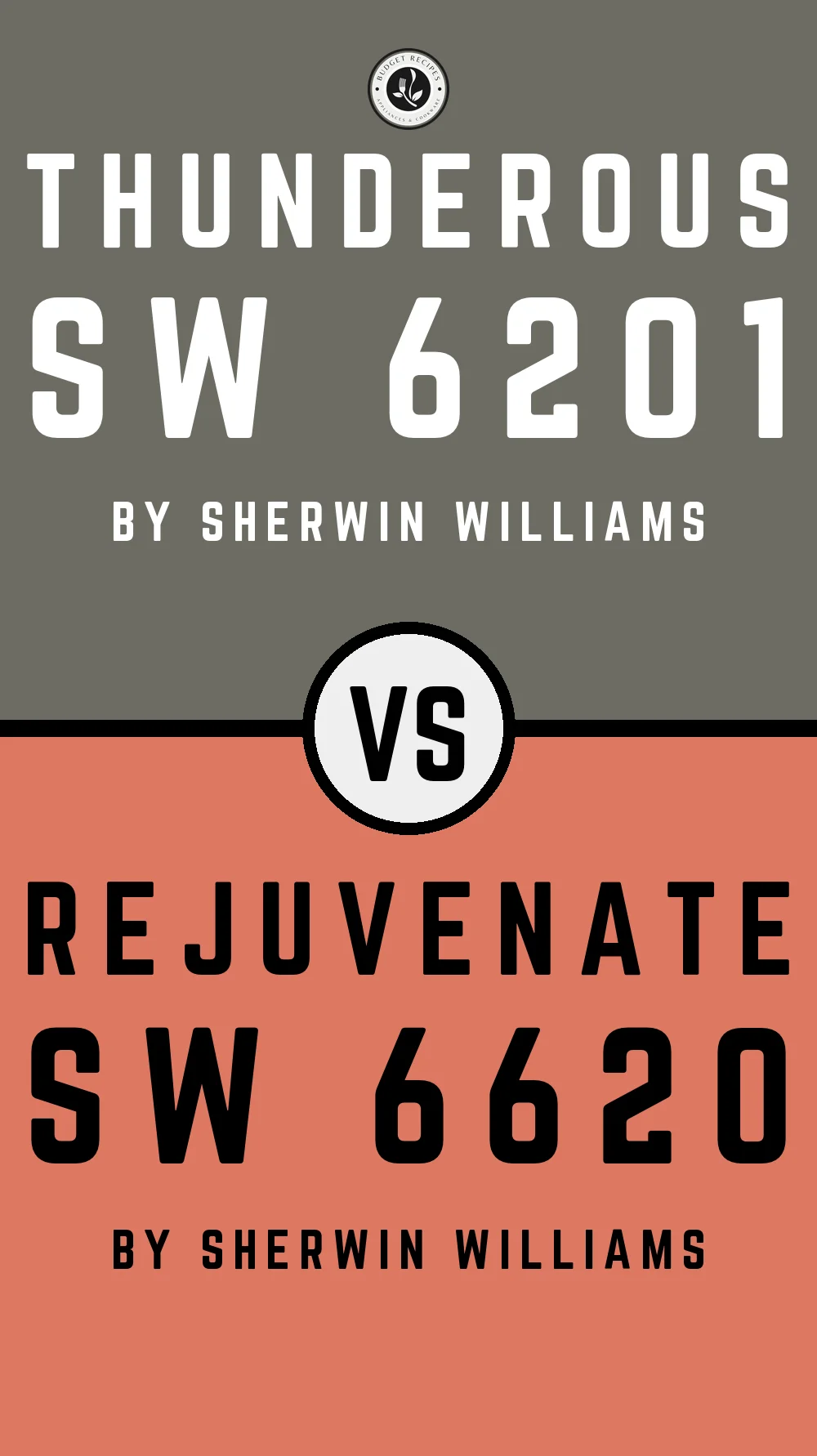 Thunderous by Sherwin Williams SW 6201 With Rejuvenate SW 6620