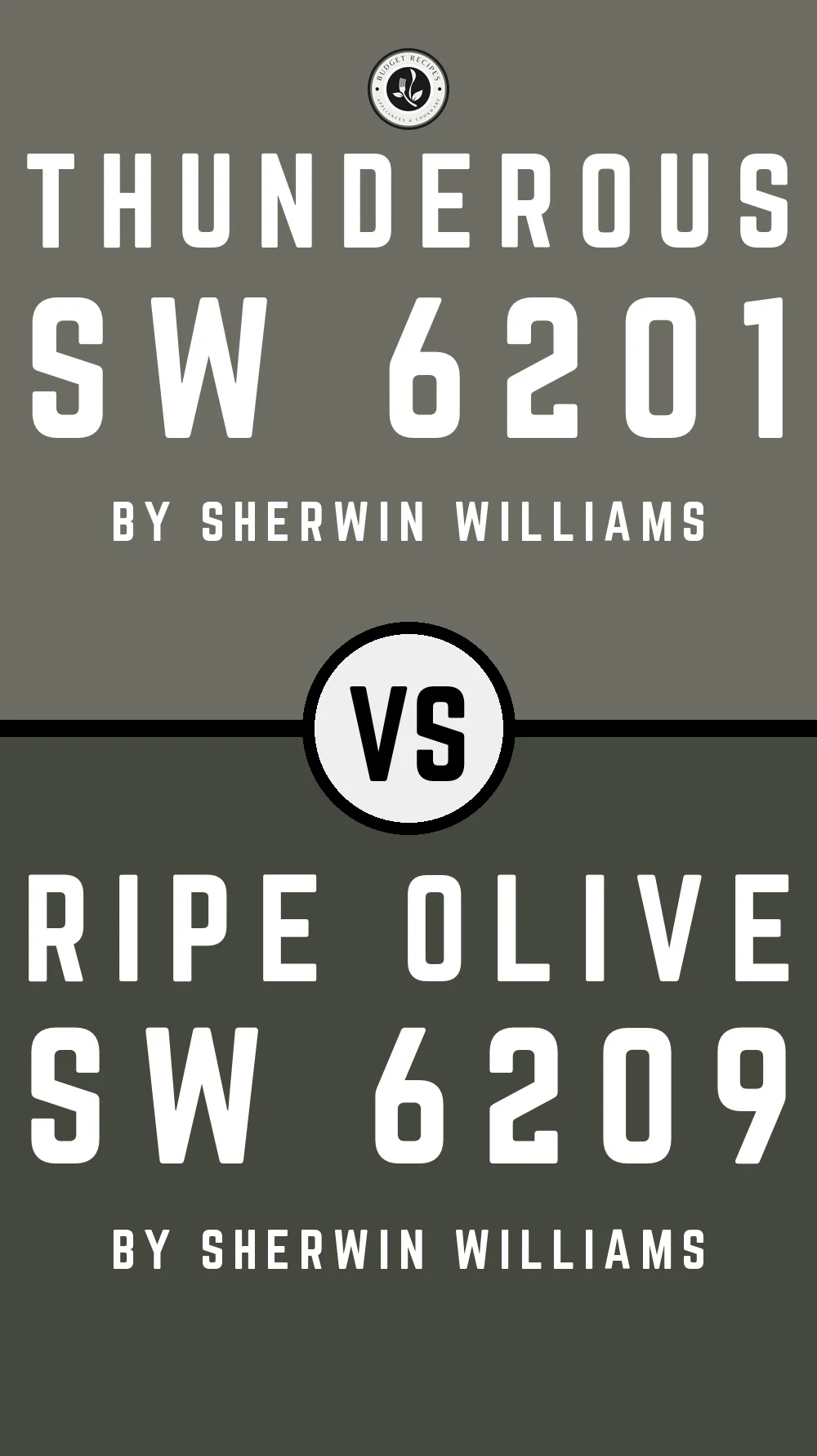 Thunderous by Sherwin Williams SW 6201 With Ripe Olive SW 6209
