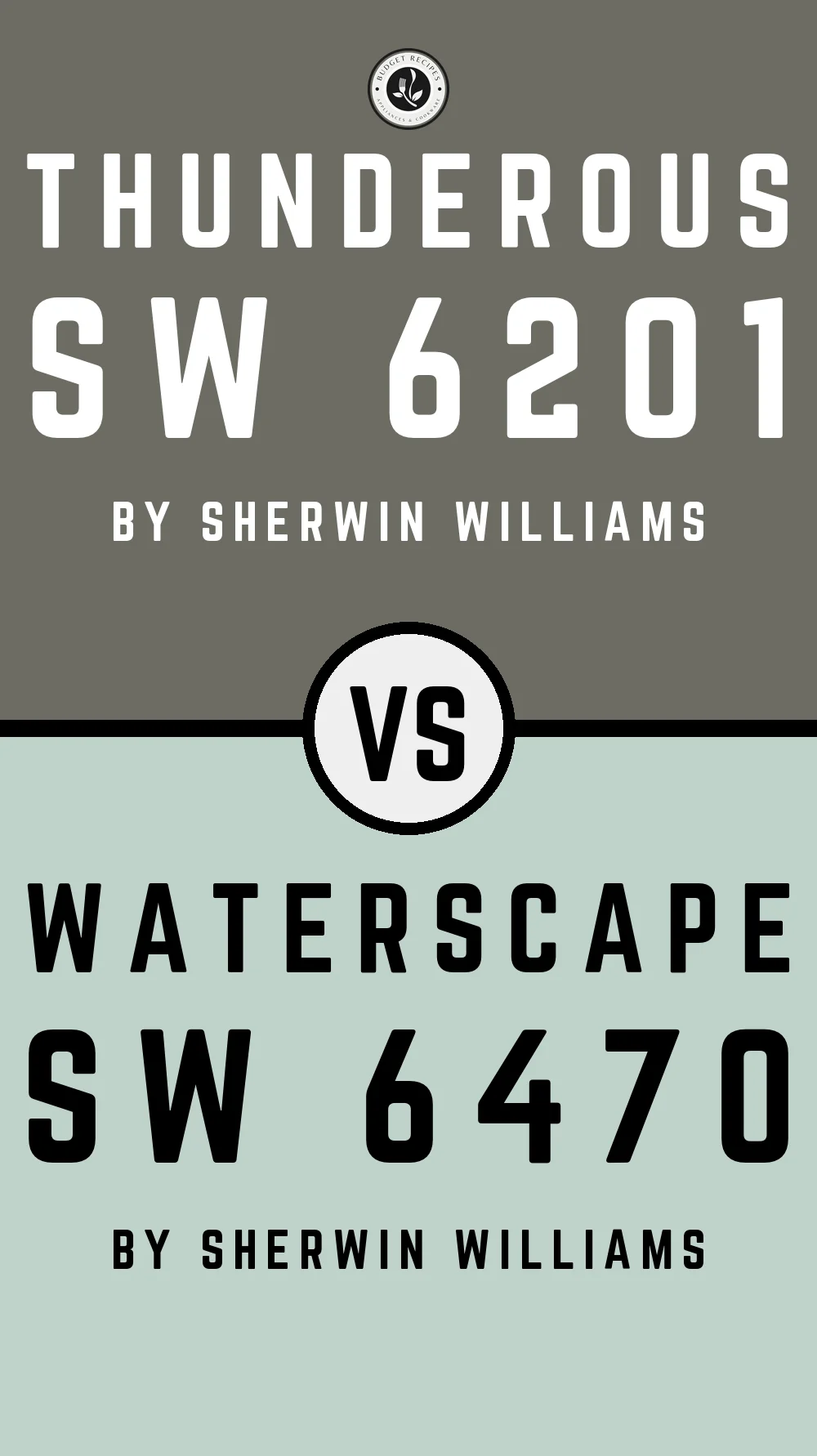 Thunderous by Sherwin Williams SW 6201 With Waterscape SW 6470