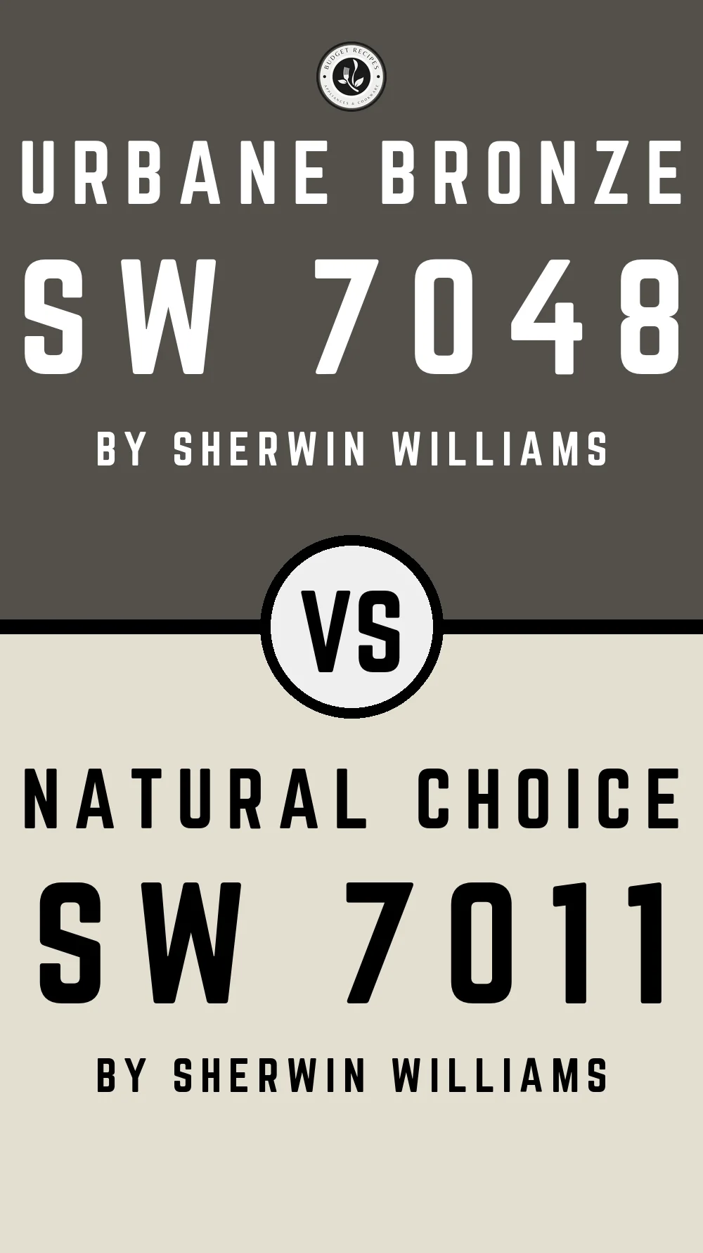 Urbane Bronze by Sherwin Williams SW 7048 with Natural Choice SW 7011