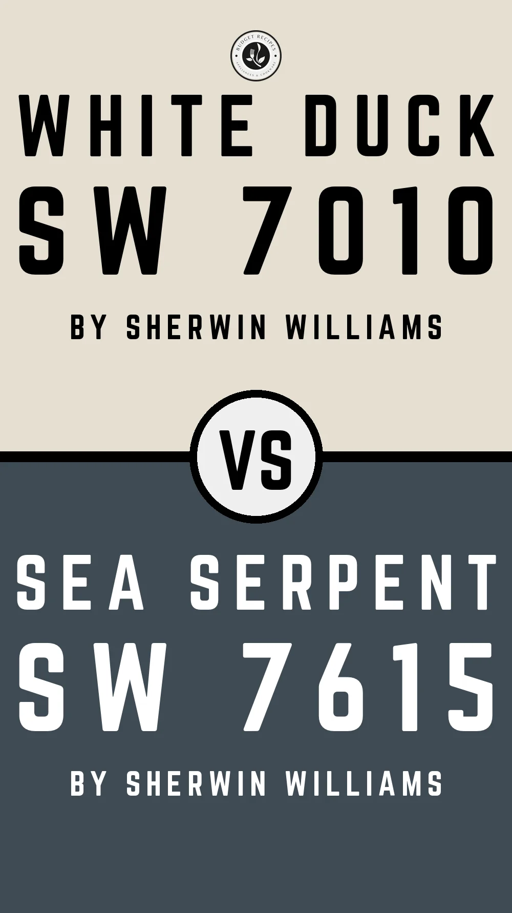 White Duck by Sherwin Williams SW 7010 with Sea Serpent SW 7615