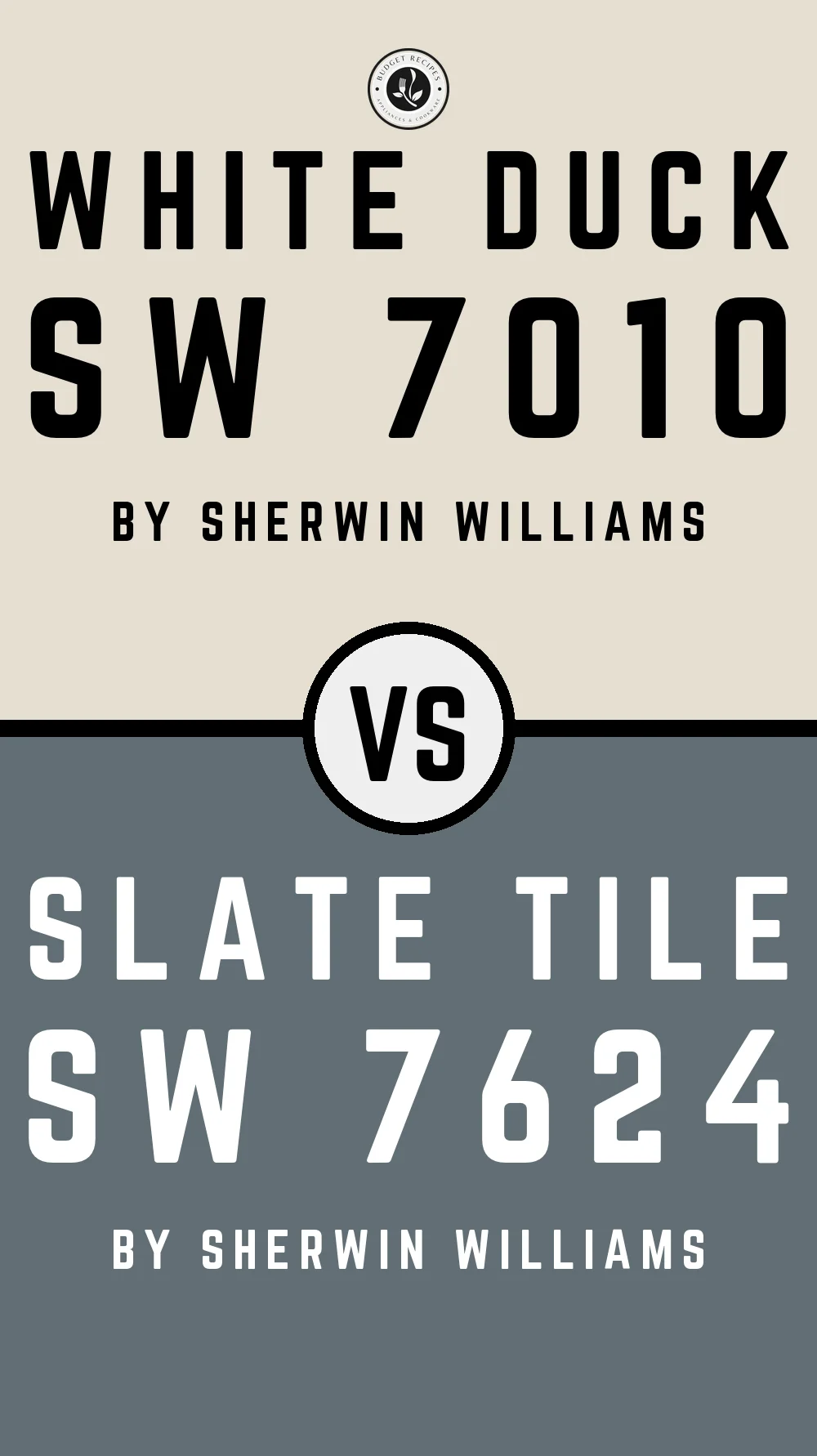 White Duck by Sherwin Williams SW 7010 with Slate Tile SW 7624