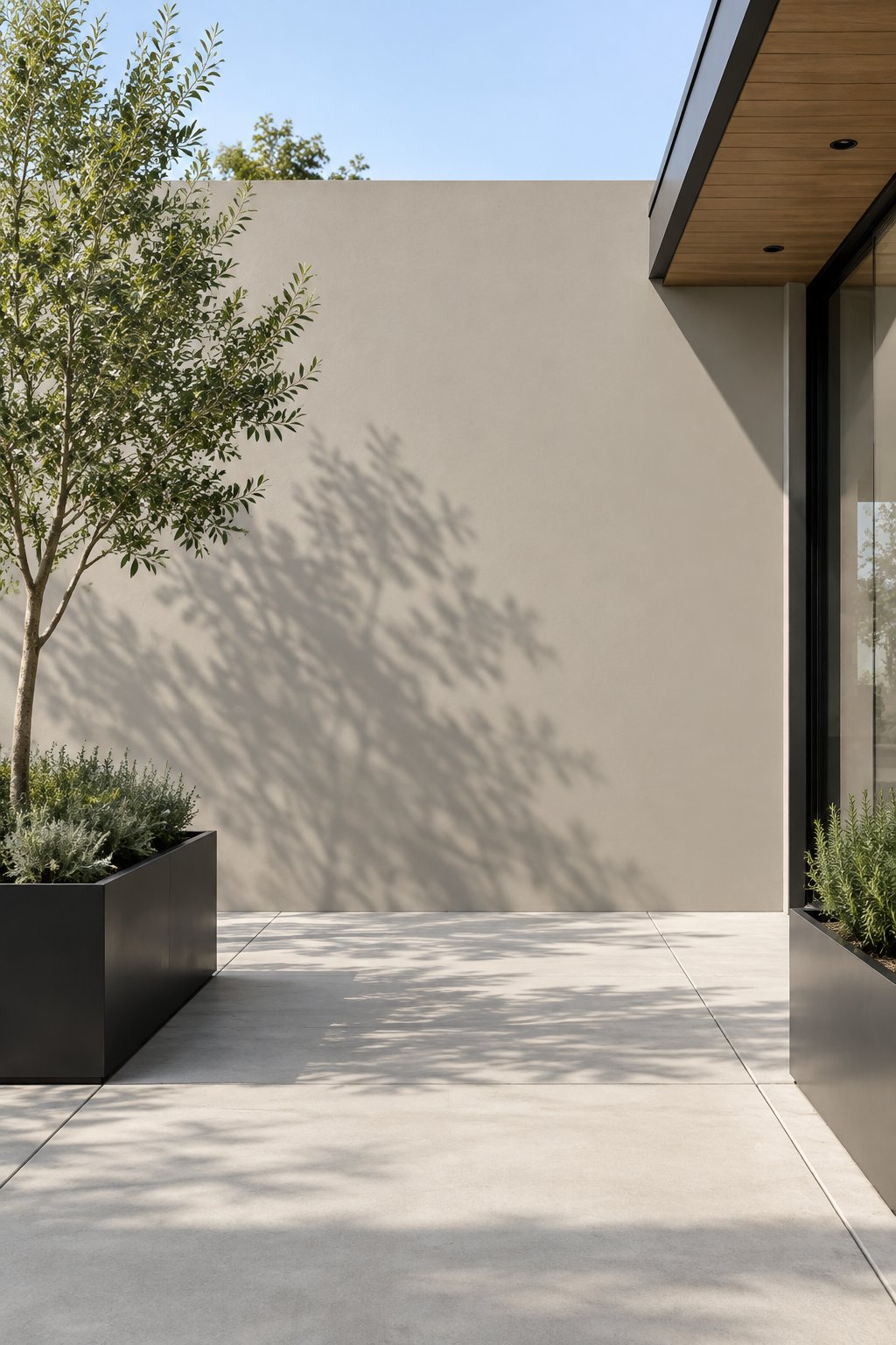 A sunlit modern courtyard with a gray feature wall, concrete paving, black planters, and greenery.